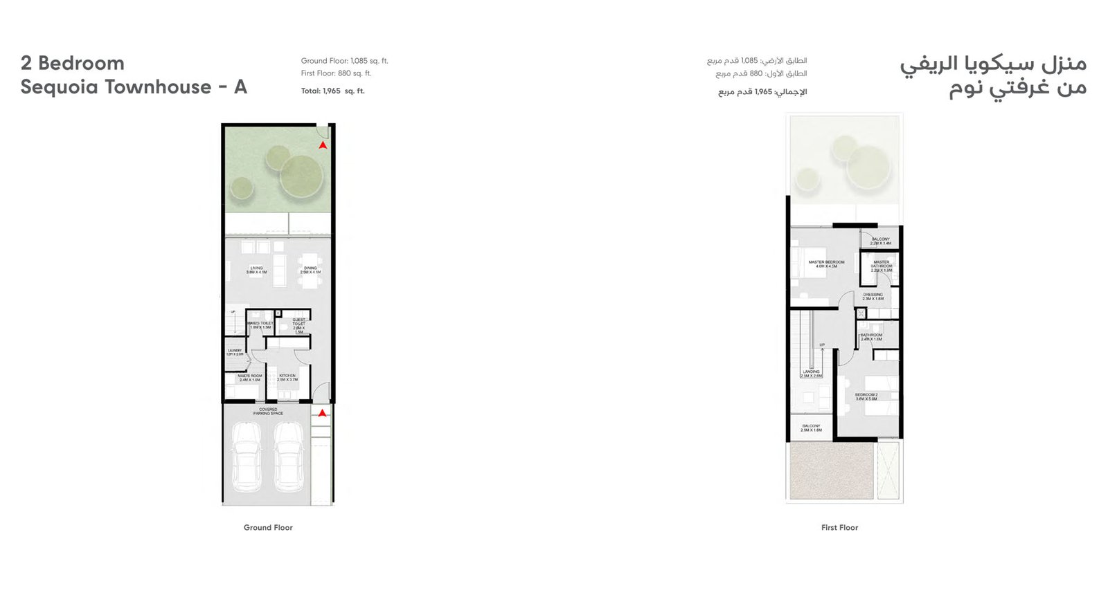 1 Bedroom Plan