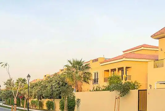 Palmarosa by Gulf Global at Dubailand Detail Shot